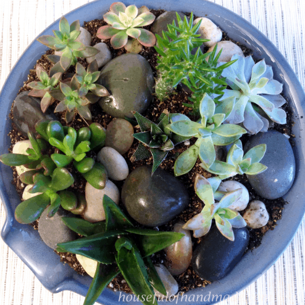 Create a beautiful indoor succulent rock garden for your table. Tutorial on Houseful of Handmade.