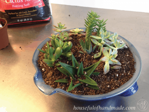Create a beautiful indoor succulent rock garden for your table. Tutorial on Houseful of Handmade.
