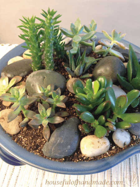 Create a beautiful indoor succulent rock garden for your table. Tutorial on Houseful of Handmade.