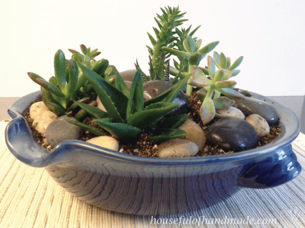 Create a beautiful indoor succulent rock garden for your table. Tutorial on Houseful of Handmade.