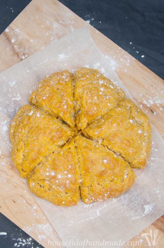 I love putting pumpkin in savory dishes. These pumpkin sage scones are perfect for a cold fall evening. Recipe on housefulofhandmade.com.