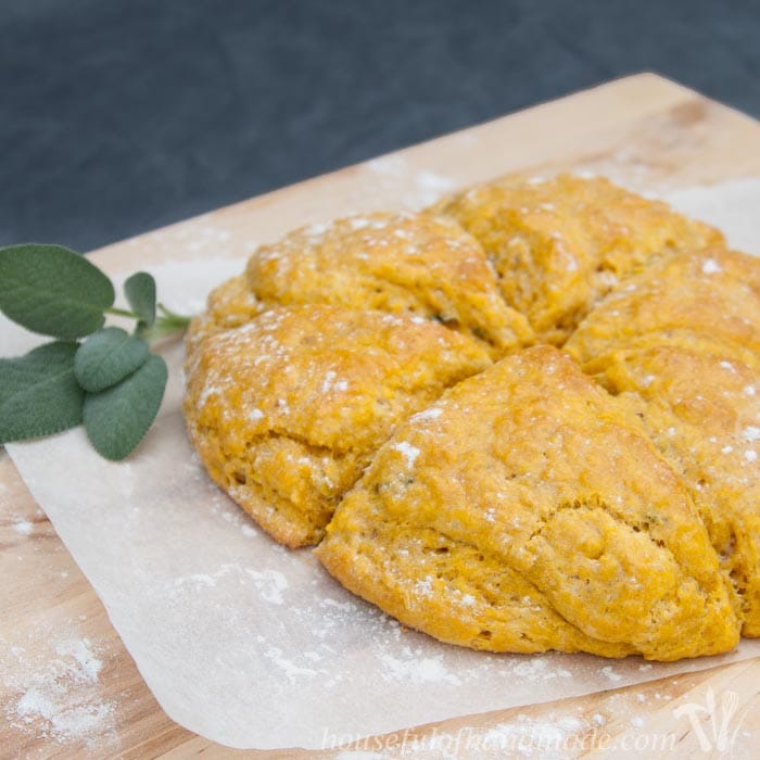 I love putting pumpkin in savory dishes. These pumpkin sage scones are perfect for a cold fall evening. Recipe on housefulofhandmade.com.