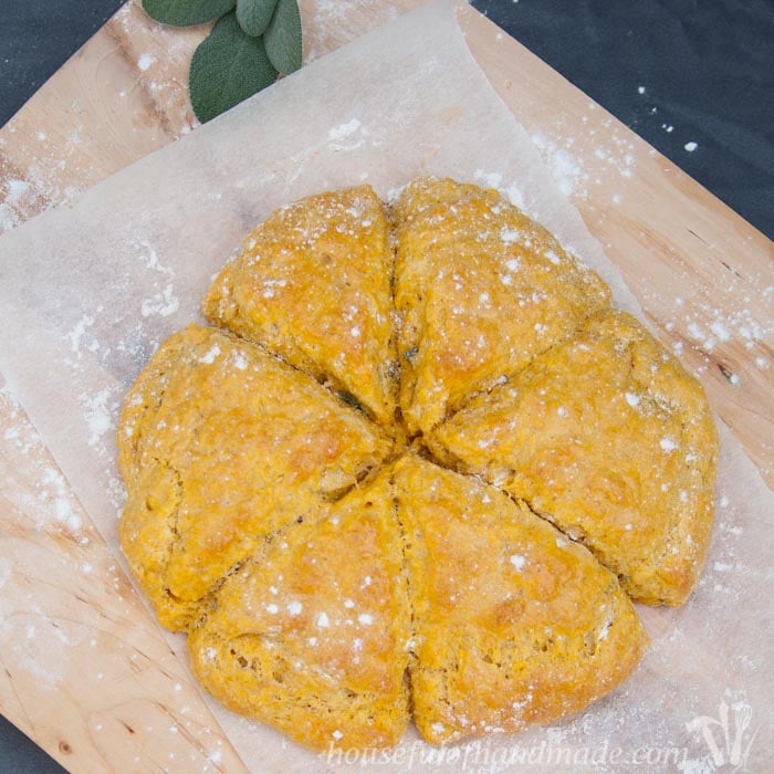 I love putting pumpkin in savory dishes. These pumpkin sage scones are perfect for a cold fall evening. Recipe on housefulofhandmade.com.