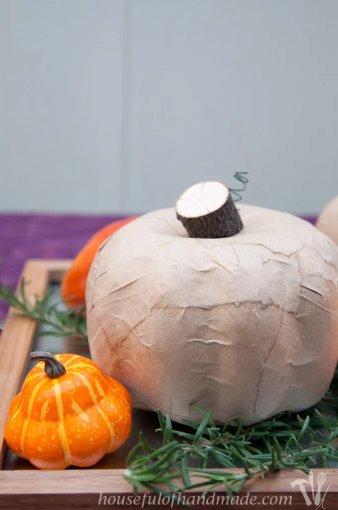 These pumpkins are beautiful. It's hard to believe they were ugly dollar store pumpkins. See how to make easy rustic pumpkins from dollar store pumpkins for only a couple dollars! | HousefulofHandmade.com