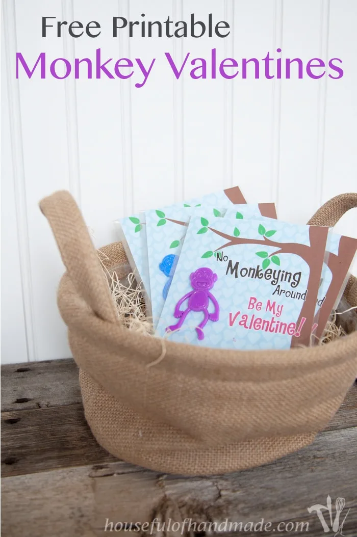 Monkey Love Valentines Gift Pail valentines day gifts - valentines