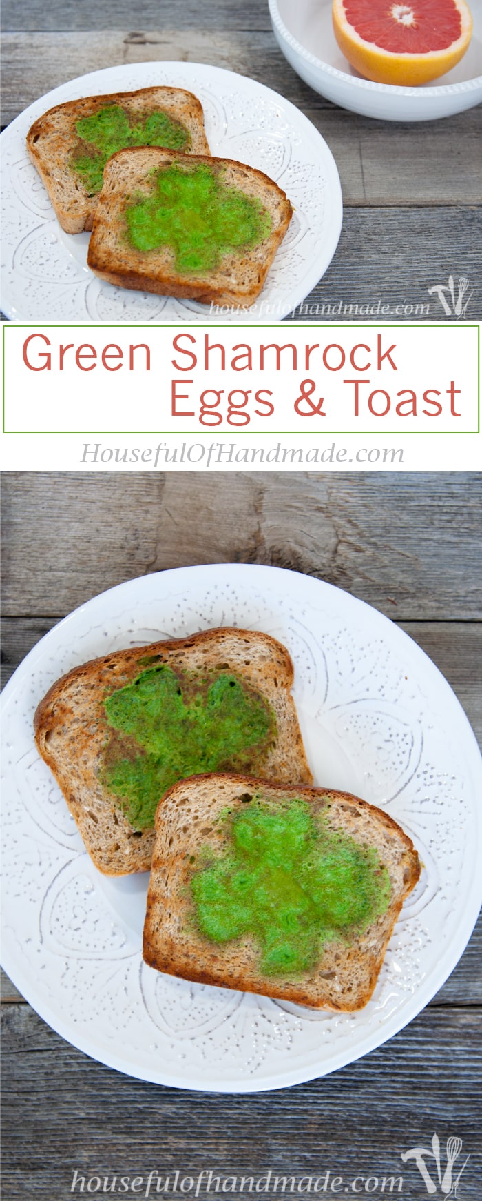 I love this idea! Celebrate St. Patrick's Day with a festive, and healthy, breakfast! These easy green shamrock eggs & toast are made with spinach to turn the eggs green. | Housefulofhandmade.com