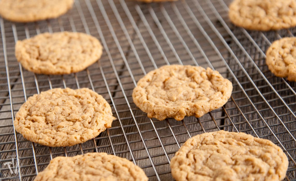 These Malted Peanut Butter Oatmeal Cookies are amazing! They are made with whole wheat flour, peanut butter, oats, and malted milk to make them really special. The result is a cookies that is malty, nutty, slightly crunchy but with a chewy center full of peanut buttery goodness. | Housefulofhandmade.com