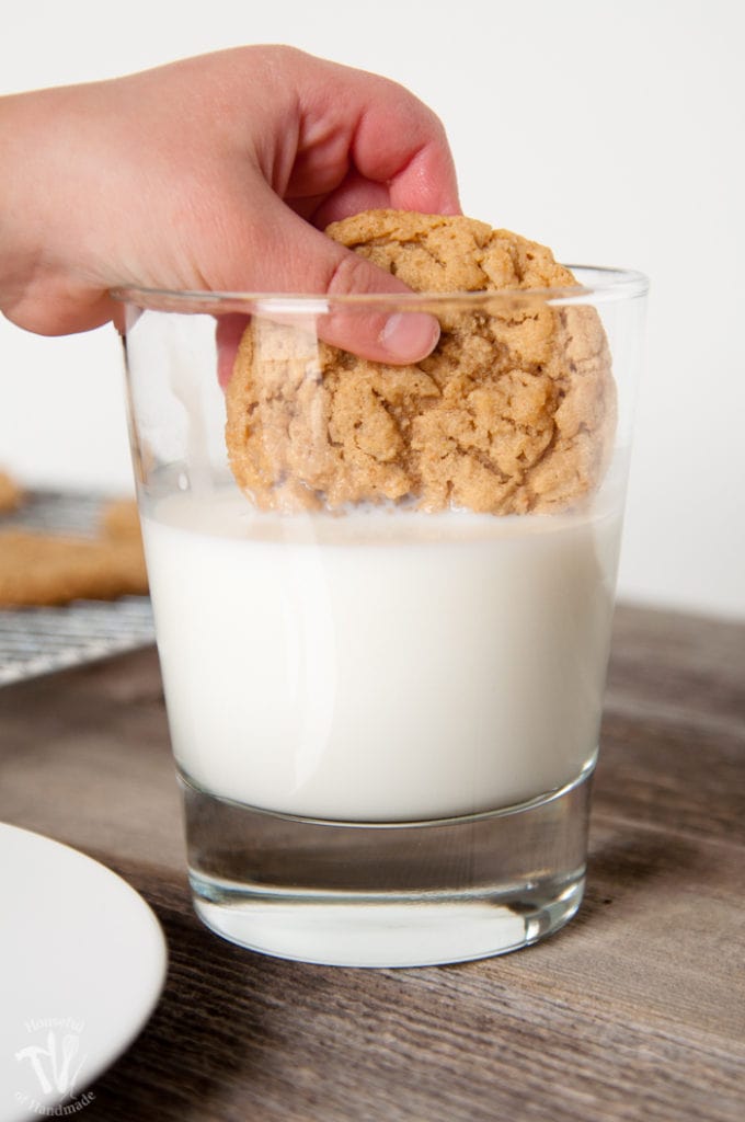 malted peanut butter oatmeal cookie in being dipped in milk