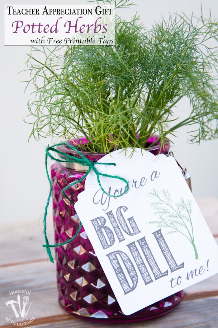 This is such a beautiful and easy teacher appreciation gift. Free printable gift tags inside potted herbs are a great way to say "Thank You". | Housefulofhandmade.com