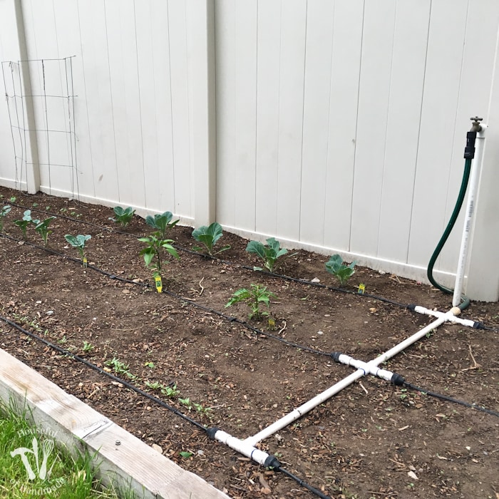 A Drip Watering System For The Garden, Garden Drip Irrigation Kit