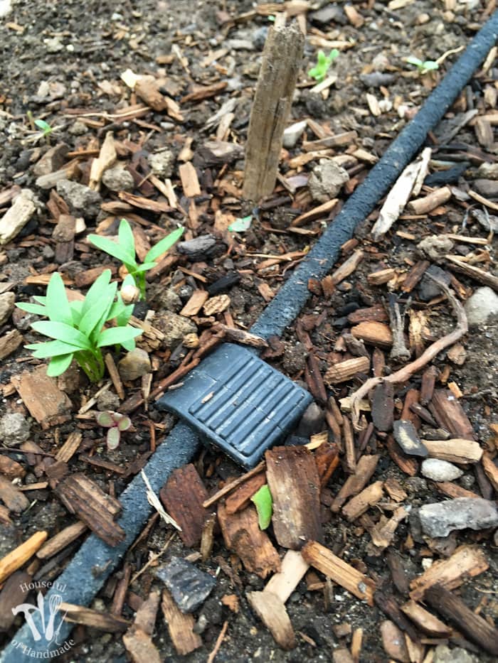 Ever wondered how to install a drip watering system for the garden? It is really easy to do and makes watering your garden so easy. Check out this great tutorial! | Housefulofhandmade.com