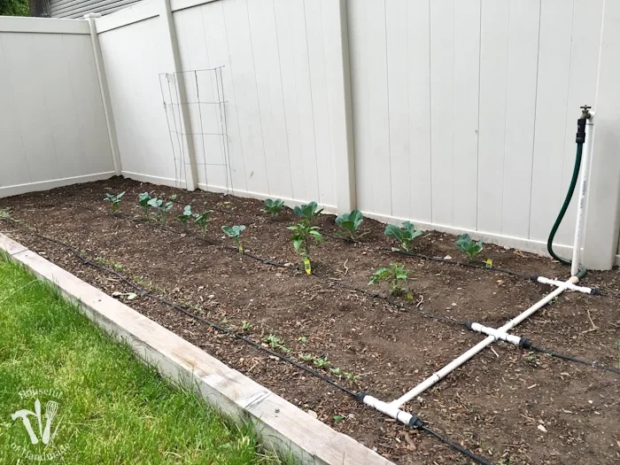 Run Drip Irrigation in Raised Garden Beds