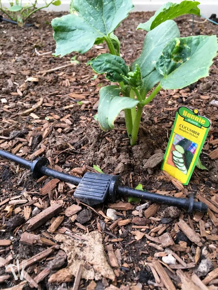 Ever wondered how to install a drip watering system for the garden? It is really easy to do and makes watering your garden so easy. Check out this great tutorial! | Housefulofhandmade.com