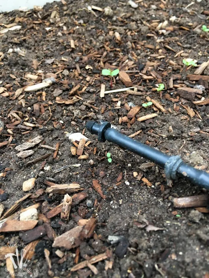 Ever wondered how to install a drip watering system for the garden? It is really easy to do and makes watering your garden so easy. Check out this great tutorial! | Housefulofhandmade.com