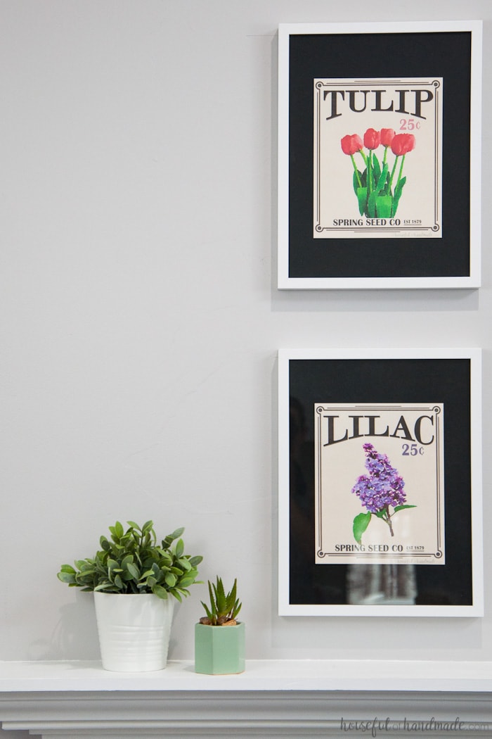 Create the perfect spring decor with these free vintage seed packet printables. Four of your favorite flowers turned into vintage inspired art that you can print and display today! Housefulofhandmade.com | Free printable | Vintage Seed Packet | Seed Packet Art | Flower Art | Spring Mantle Ideas | Farmhouse Decor | Easy Decor | Home Decor