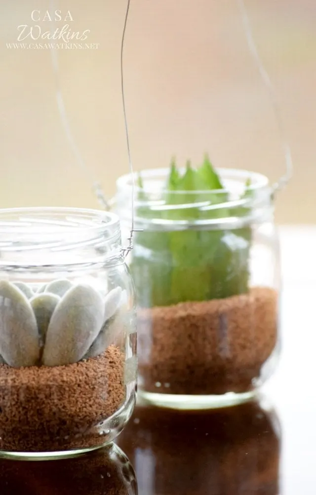 Ways to Upcycle Glass Jars & Bottles: World Market Inspired DIY Mini Succulent Hanging Jars from Casa Watkins Living.
