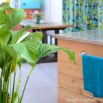 DIY backyard patio in the background with tropical leaves in the foreground.