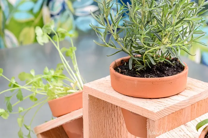 Countertop herb garden made out of a cedar fence picket and terra cotta pots. Housefulofhandmade.com