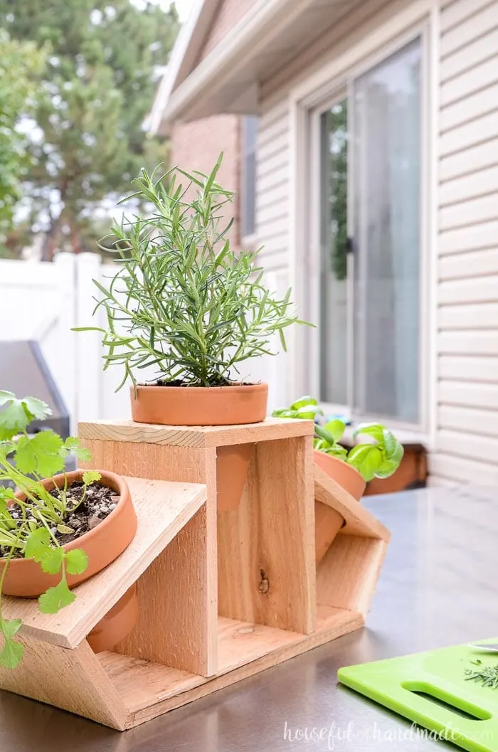 Rosemary, cilantro and basil herbs planted in the 15 minute DIY kitchen herb planter made out of cedar wood. Housefulofhandmade.com