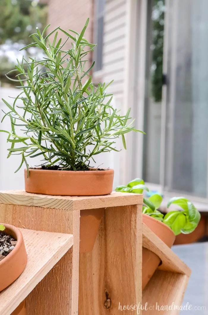 These easy herb garden plans are perfect for creating a simple countertop herb garden. Housefulofhandmade.com