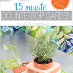 Create a countertop herb garden with this 15 minute craft. Clay pots and a cedar fence picket are turned into a beautiful kitchen herb planter. Use it for a beautiful indoor herb garden or as a fun tabletop garden for your patio. Housefulofhandmade.com
