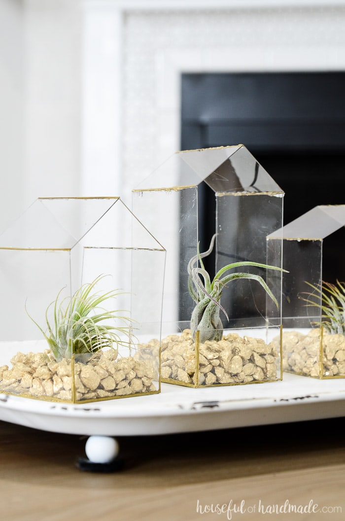 Plexiglass air plant display with gold details.