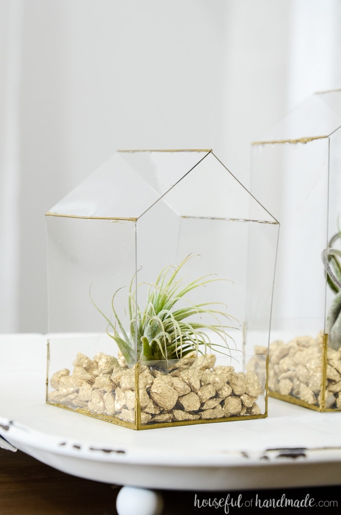 Cute house shaped plant display with bushy air plant planted in it.