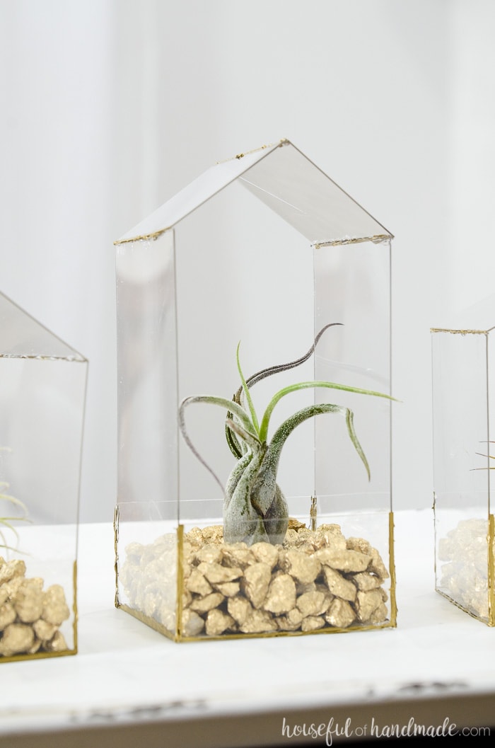 Tall house shaped air plant holder on a table with air plant in it.