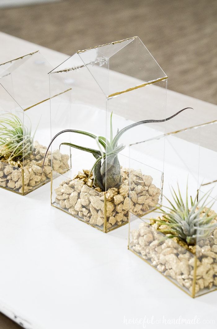 Easy DIY air plant holder made from hot glue and thin plastic.