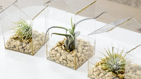 House Shaped Air Plant Holder Easy Diy Display - Diy Air Plant Frame House Shaped Air Plant Holder Easy Diy Display - Diy Air Plant Frame