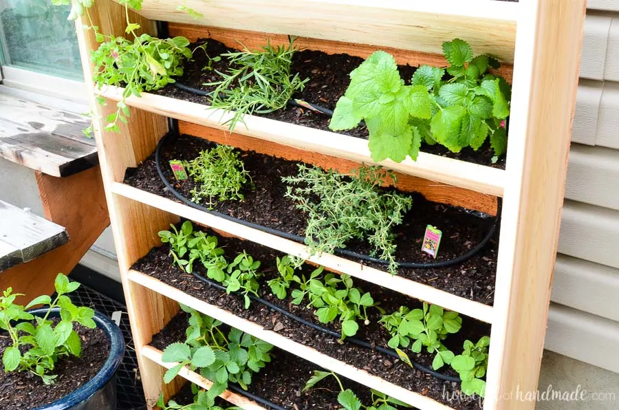 indoor vertical herb garden