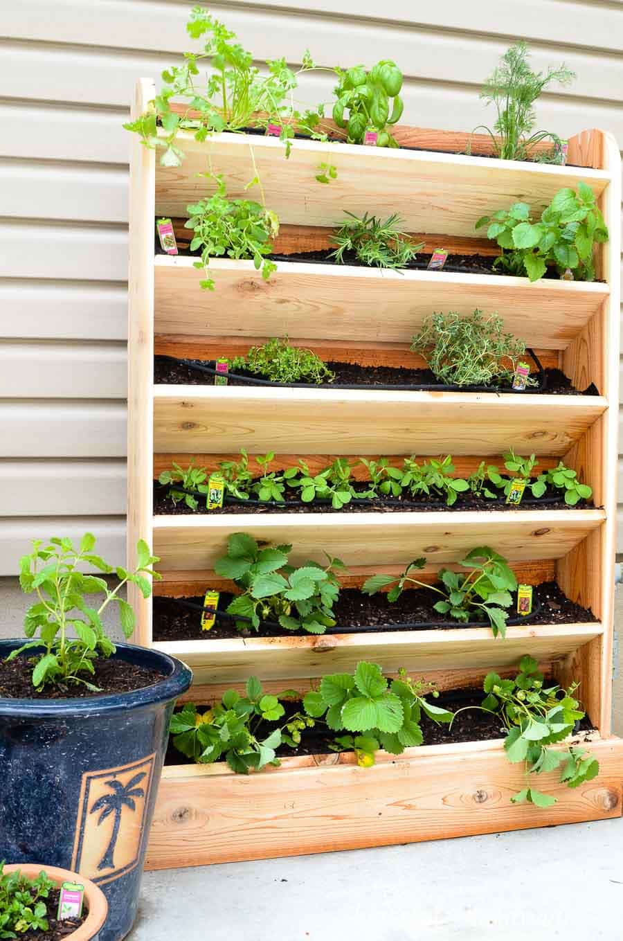 Create a DIY vertical garden for the perfect small space garden solution. This cedar vertical garden has a lot of space to grow your favorite herbs and plants. And the built in drip watering system will help make watering your vertical garden even easier. Housefulofhandmade.com