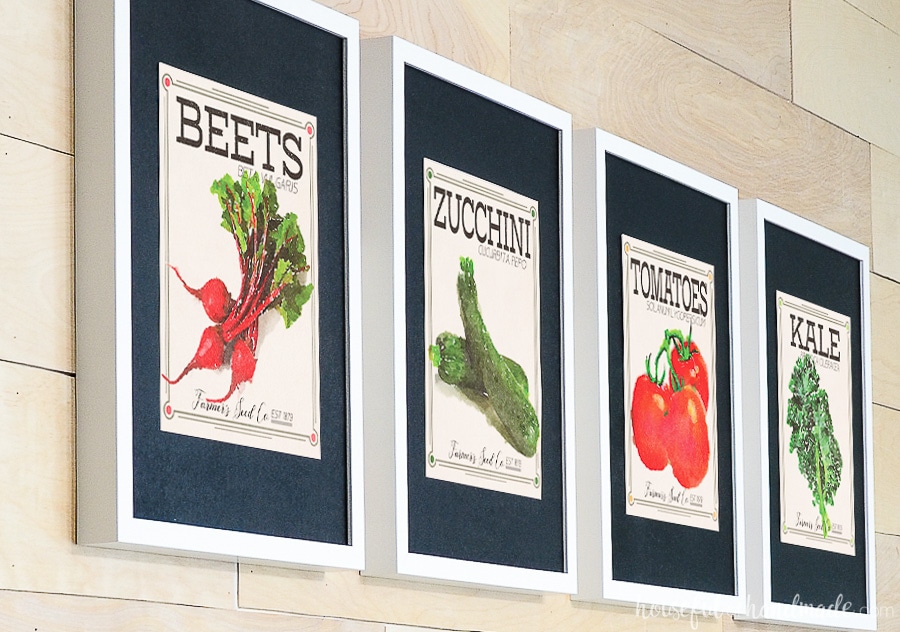Beet, zucchini, tomato and kale vegetable seed packet prints in white frames with black photo mats.