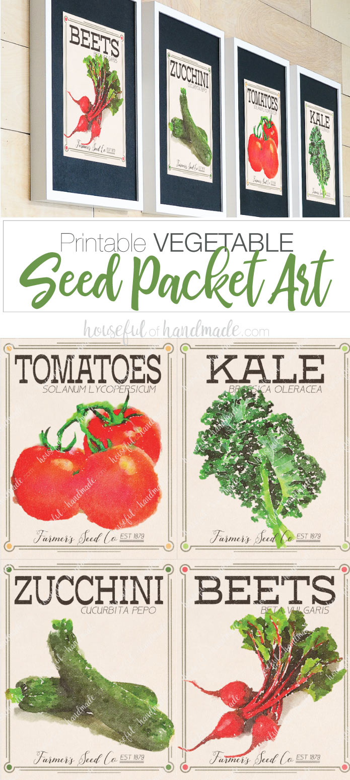 Not ready for pumpkins? Decorate for early fall with these vegetable seed packet art prints. Download them today at Housefulofhandmade.com | #printable #seedpacket #vegetableart #fallprintable