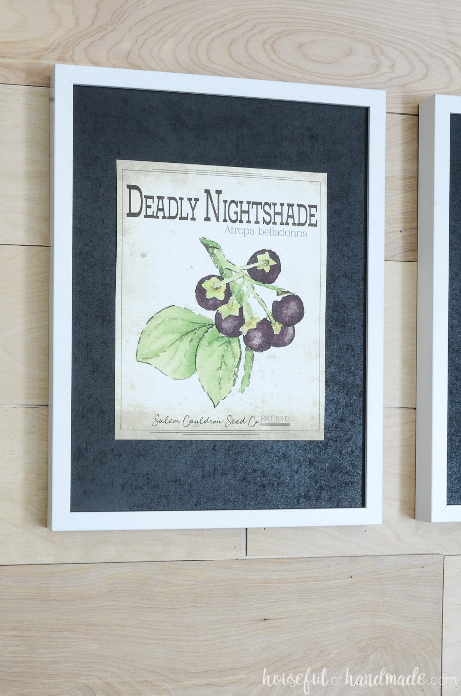 Spooky seed packet art of a deadly nightshade hanging in a picture frame with a black mat for printable Halloween art. 