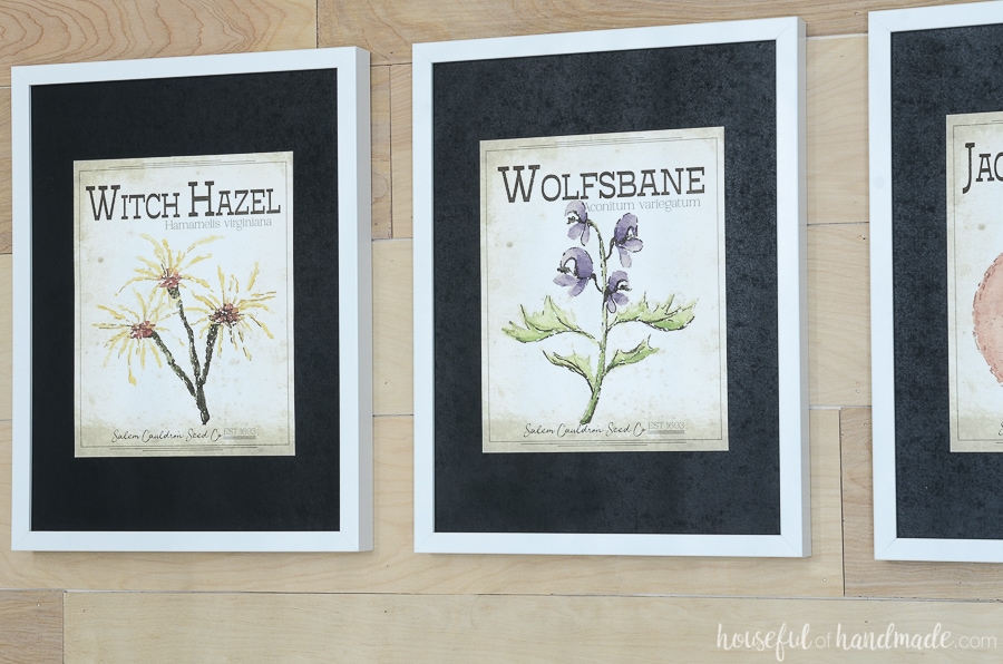 Vintage spooky seed packet art of witch hazel and wolfsbane make the perfect printable Halloween art. 