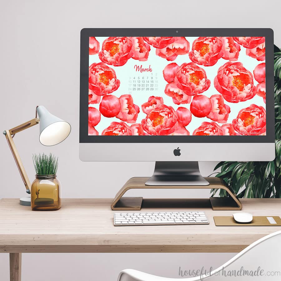 Coral peony pattern on the screen of a computer as a digital background.