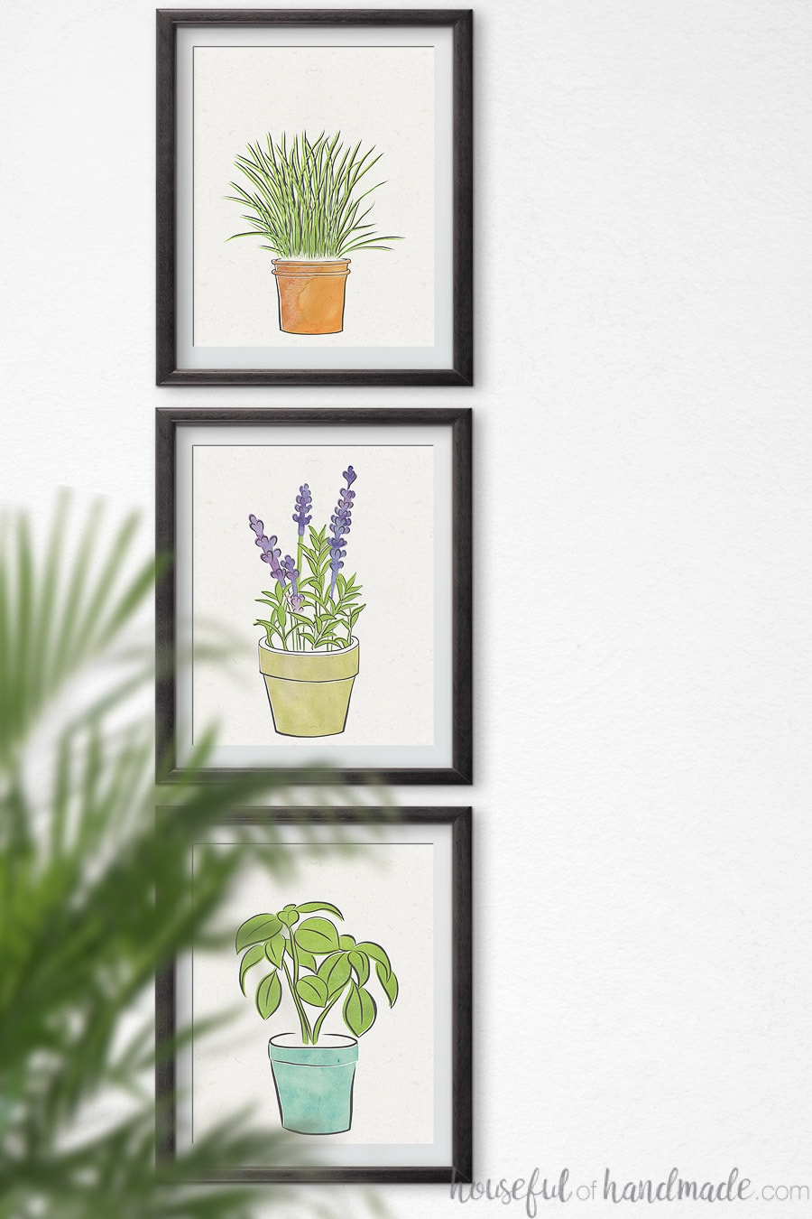 Herb art drawings of chives, lavender and basil in frames on a wall.