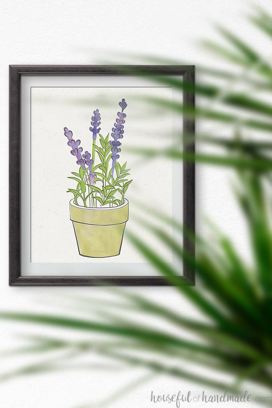 Lavender herb art print in a black frame.