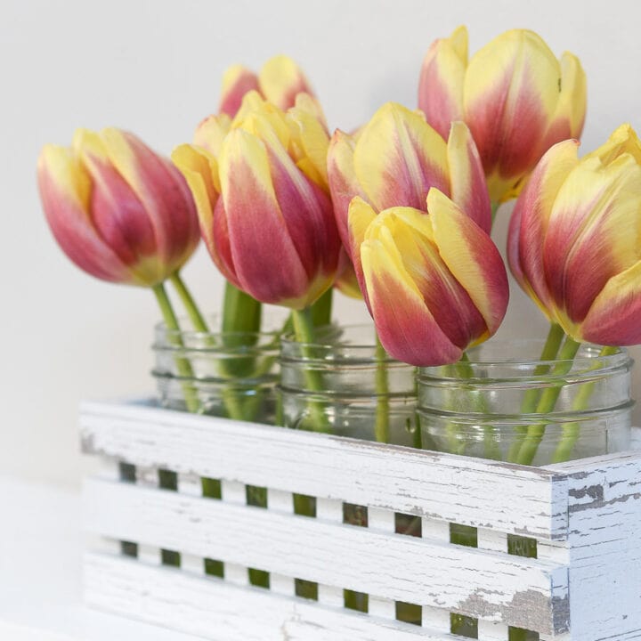 Close up of the tulip blooms in mason jars in a white decorative trough made from paper.