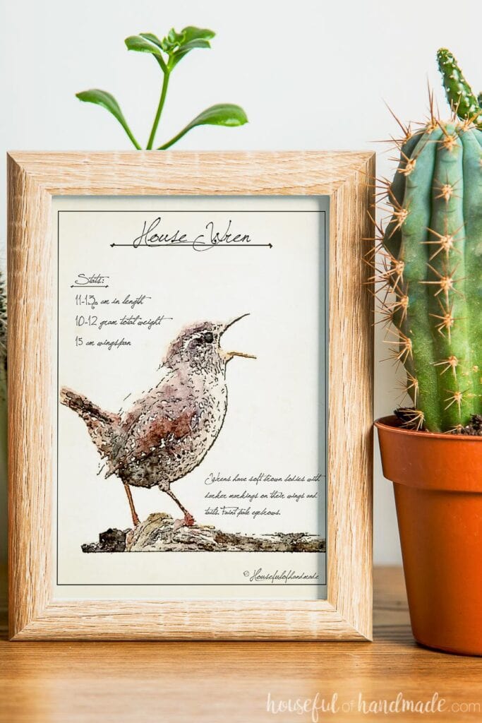 Small frame with a bird sketch art print of a wren in it.