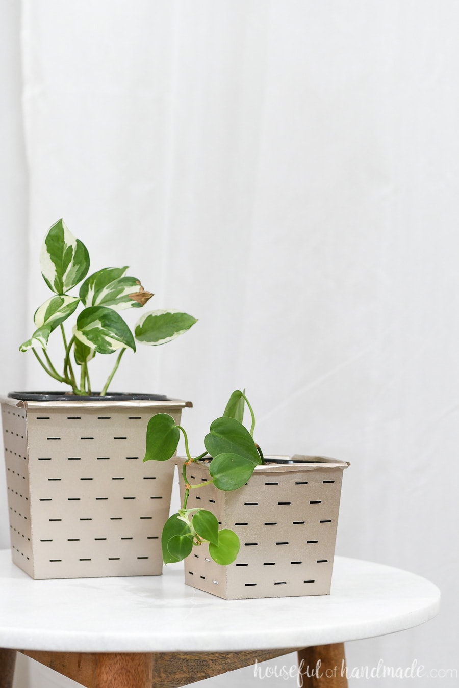 Two spray painted paper buckets holding house plants.