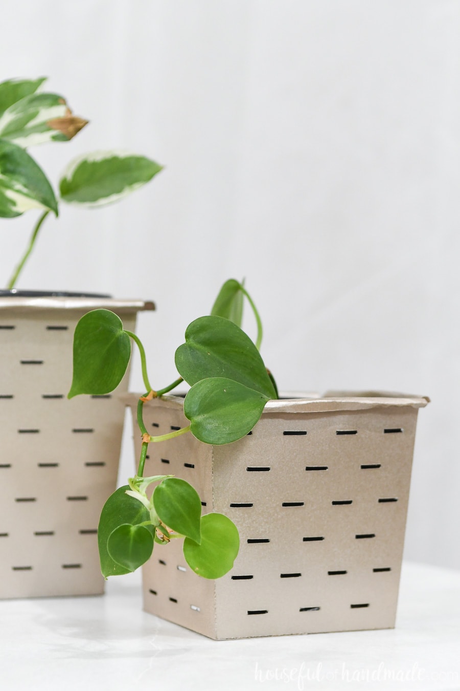 Close up of the small paper flower pot with a pathos plant cascading over the side. 