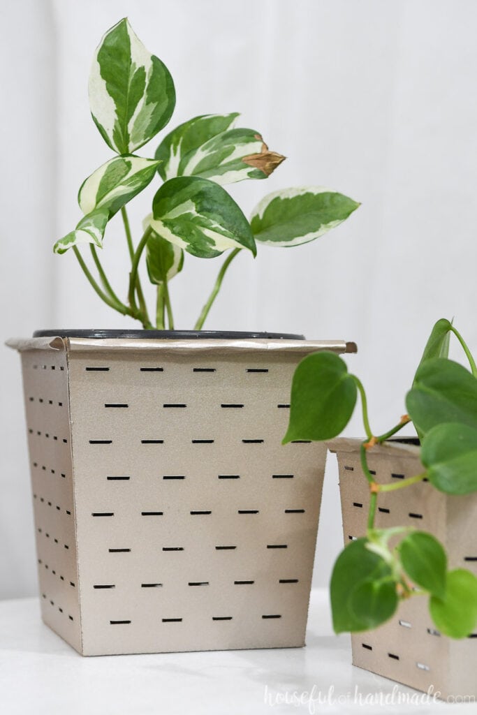 Close-up view of the larger farmhouse flower pot with a striped leaf plant inside.