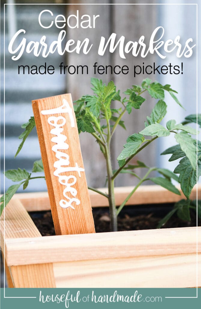 Tomato cedar garden marker in a pot next to a tomato plant.