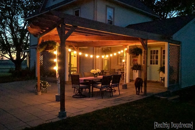 Unique Patio Lights - Strung between two birch logs! {Reality Daydream}