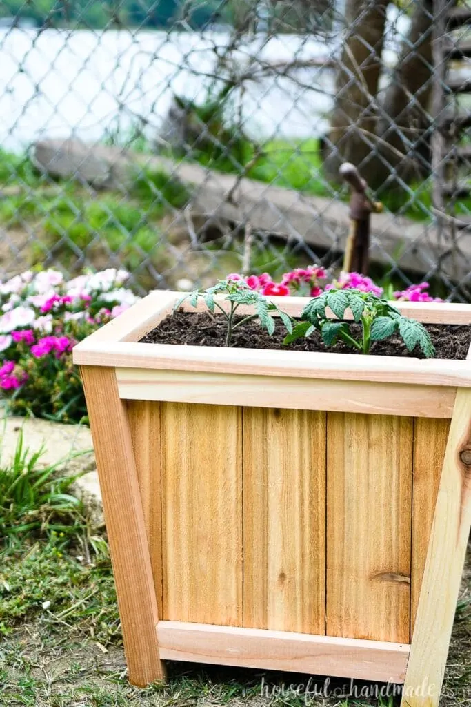 DIY cedar planter on the ground with plants inside.