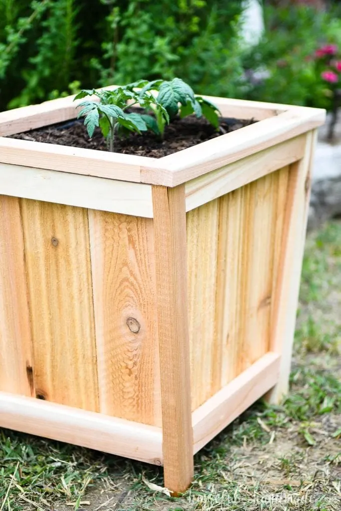 Close up view of the edge of the wood planter made from cedar 1x2s and fence pickets.