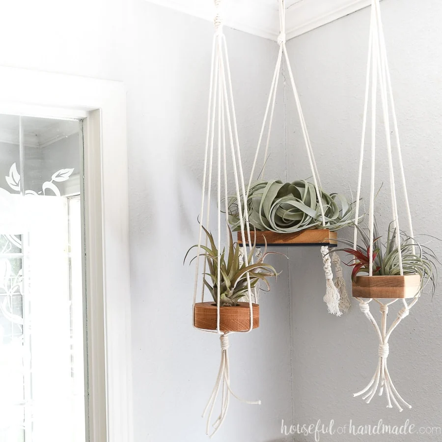 Wood air plant holders hanging with macrame cord holding different types of air plants.