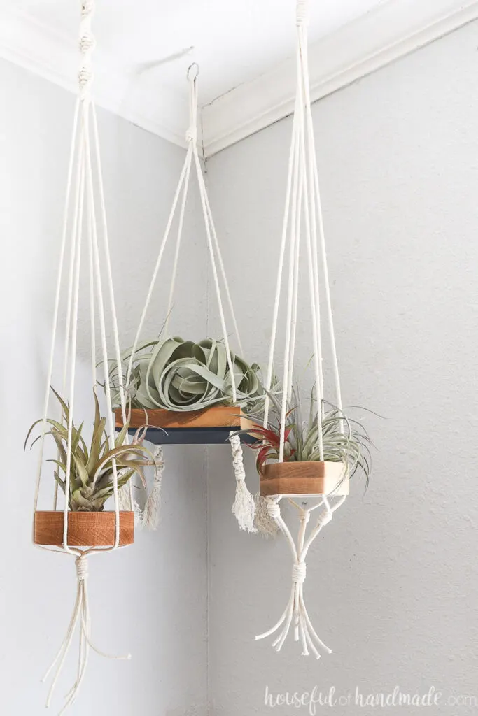 Three macrame and wood hanging air plant holders in the corner. 